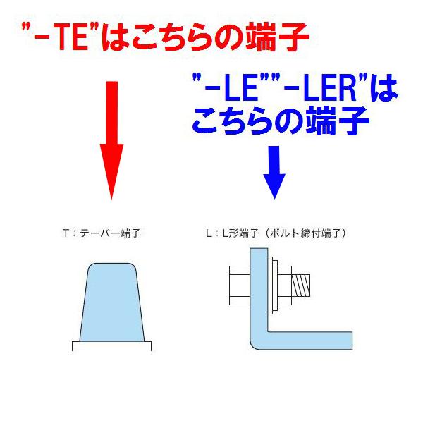 ecovehicle-y_eb100-lex2_4
