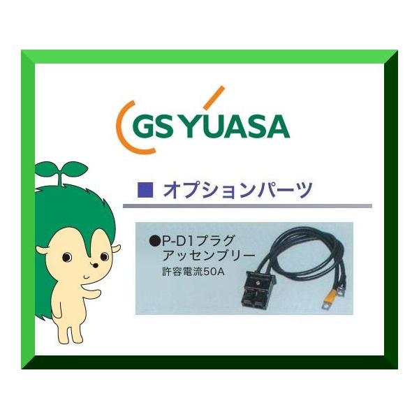 P-D1プラグアッセンブリー GSユアサ (M6/M8/M10) サイクルバッテリー用オプション部品