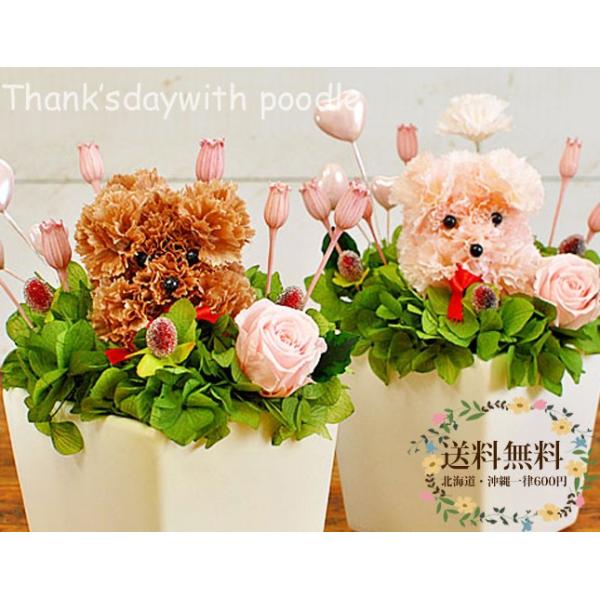 カーネーションプードルハートピック付き ピンク ブラウン 母の日 誕生日 可愛い 犬 プードル プリザーブドフラワー アートフラワー 犬アレンジ プレゼント Buyee Buyee 日本の通販商品 オークションの代理入札 代理購入
