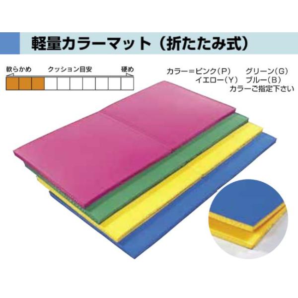 F1532 軽量カラーマット　折りたたみ式　　９０ｘ１８０ｘ４ 規格：重量（kg）：5