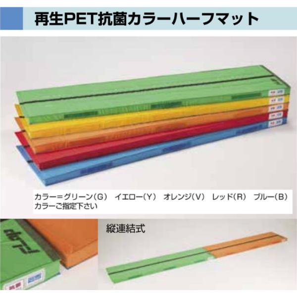 F1600 再生ＰＥＴ抗菌カラーハーフマットＳ   ５０ｘ２００ｘ６ 規格：重量（kg）：7.7
