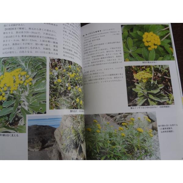 フィールド版 日本の海岸植物図鑑 中西弘樹 234種 約740点 花 実 群落 Gpss 日本代購 日本雅虎購物平臺