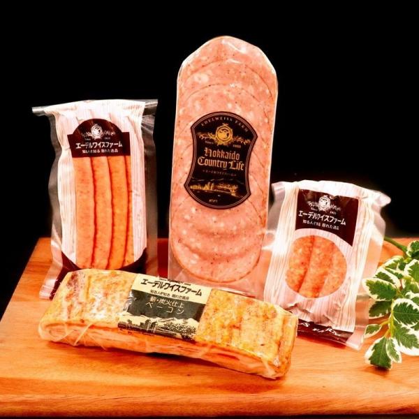 dYΎdグx[R \[Z[W Mtg A-2yMtgpz