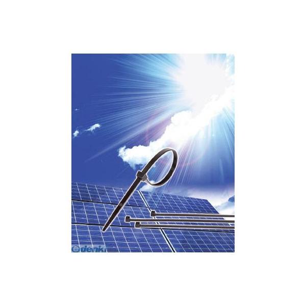 ヘラマンタイトン ヘラマンタイトン GL200 ガルバロック　幅４．７Ｘ長さ２０２ｍｍ　１００本入　屋外用 433