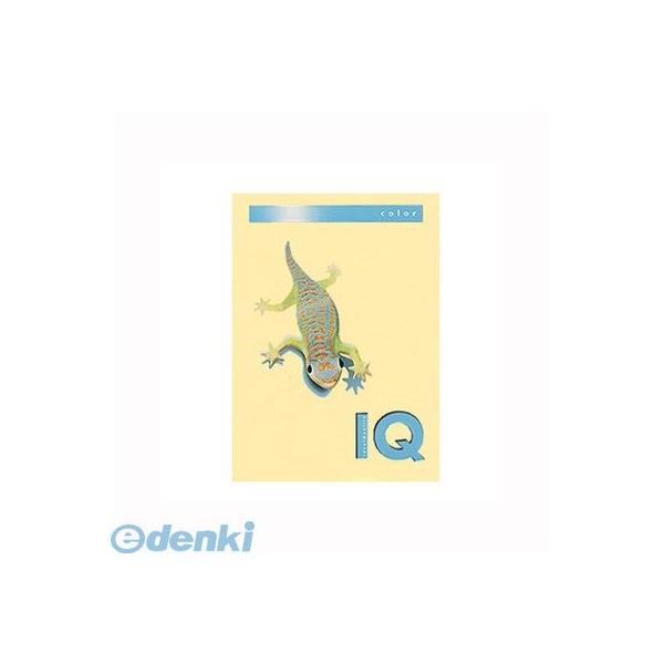 伊東屋 BT701 クリーム バイオトップカラーＡ４（２５０枚入） BT701クリーム