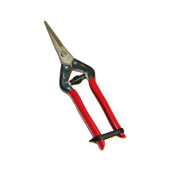 近正 T55SH ステンレス芽切 摘果鋏