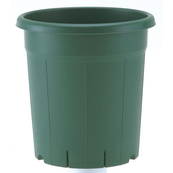 アップルウェアー 4905980310278 バラ鉢8号GR