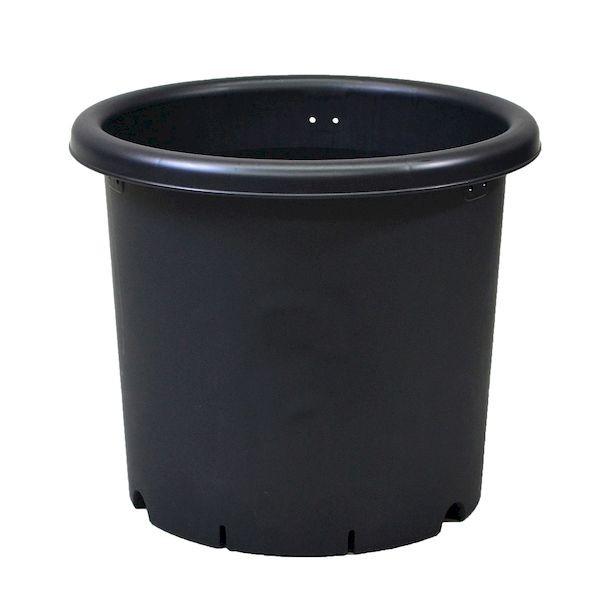 アップルウェアー 4905980972087 菊鉢7号BK