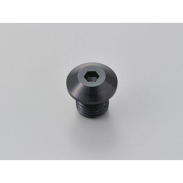 デイトナ DAYTONA 99617 ミラー穴埋めボルトM10 ブラック 逆ネジ BK ミラーアナウメボルトM10ギャクネジ