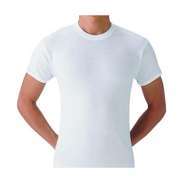 グンゼ SV61142-LL やわらか肌着半袖丸首２枚組ＬＬ SV61142LL