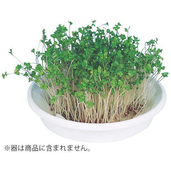 アーテック ArTec 102969 水耕栽培ユニット ブロッコリースプラウト