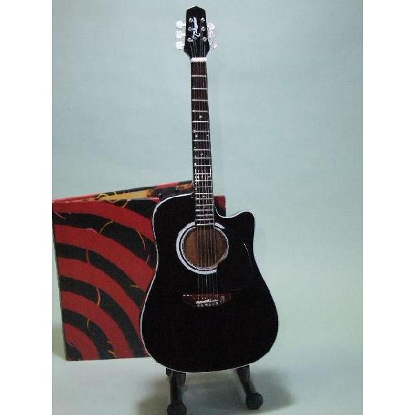 タカミネ アコースティック ギター 1/5スケール ミニレプリカ