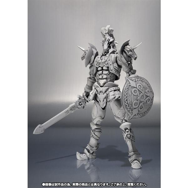 BANDAI（バンダイ） S.H.フィギュアーツ限定品 仮面ライダー555 ホース
