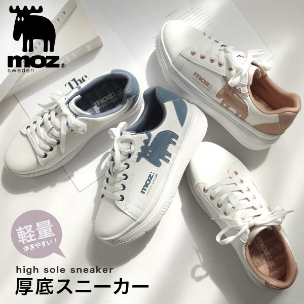 くも Amazon | ゼログラビティ スクリーン スポーツツーリング