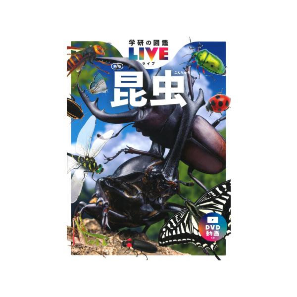 昆虫 新版 学研の図鑑 LIVE（ライブ） 1』丸山 宗利（学研プラス