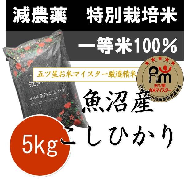 コシヒカリ お米 5kg 新米 令和6年産 新潟県 魚沼産コシヒカリ コシヒカリ お米 5kg 新米 令和6年産 新潟県 魚沼産コシヒカリ