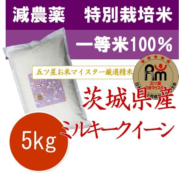 ミルキークイーン ミルキークィーン 5kg 茨城県産 新米 令和7年産 特別
