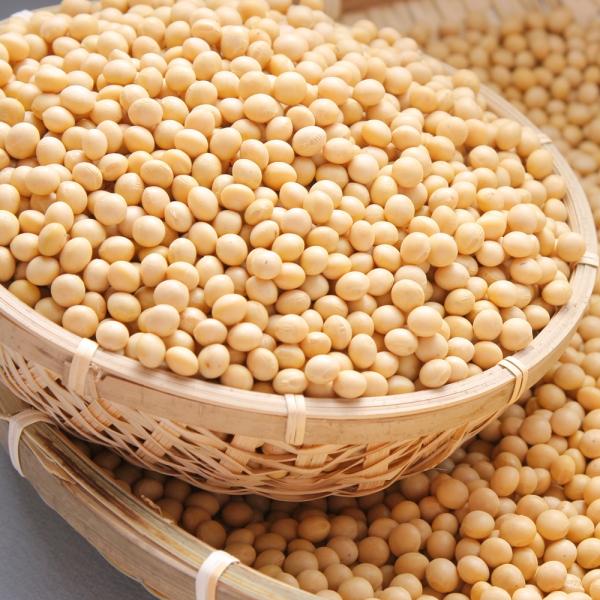 湖北の自然を詰め込んだ白大豆「ことゆたか」大豆にも様々な品種がありますが、「ことゆたか」は滋賀の豊かな自然に適した品種で、県の推奨品種になっています。化学肥料を使わない有機農法で育てられ農薬もできるだけ使わず、遺伝子組替えなども使わない１０...