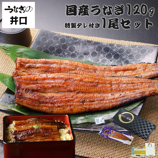 うなぎ ギフト プレゼント うなぎの井口 ウナギ 蒲焼き 国産 鰻 お取り寄せグルメ 海鮮 食べ物 ギフトセット 贈り物 120g 2尾