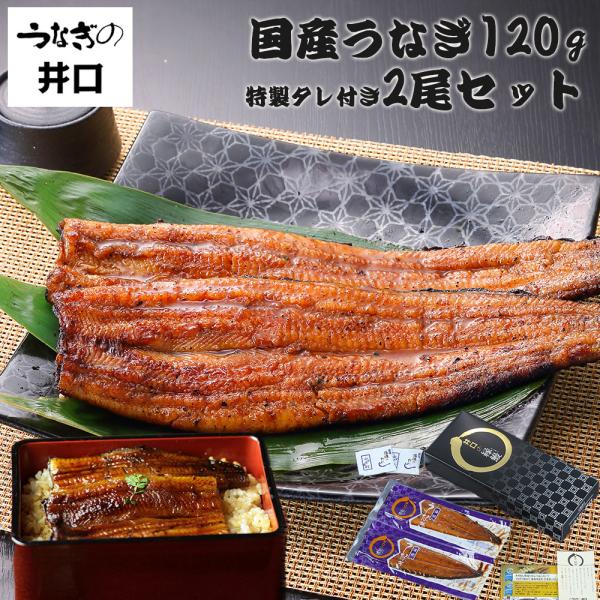 うなぎ ギフト プレゼント うなぎの井口 ウナギ 蒲焼き 国産 鰻 お取り寄せグルメ 海鮮 食べ物 ギフトセット 贈り物 120g 2尾