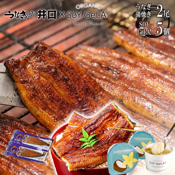 うなぎ ギフト プレゼント うなぎの井口 ウナギ 蒲焼き 国産 鰻 お取り寄せグルメ 海鮮 食べ物 ギフトセット 贈り物 120g 2尾