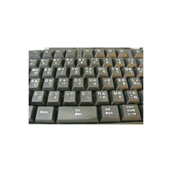eeelife_ltk-black eeelife_ltk-black