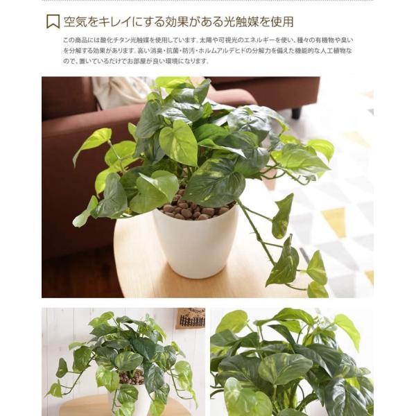 Fresh Pothos フレッシュポトスm 人工植物 観葉植物 お手入れ不要 光触媒 グリーン 水やり不要 リアル Buyee Buyee Japanese Proxy Service Buy From Japan Bot Online