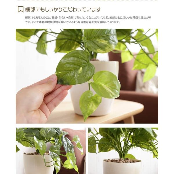Fresh Pothos フレッシュポトスm 人工植物 観葉植物 お手入れ不要 光触媒 グリーン 水やり不要 リアル Buyee Buyee Japanese Proxy Service Buy From Japan Bot Online
