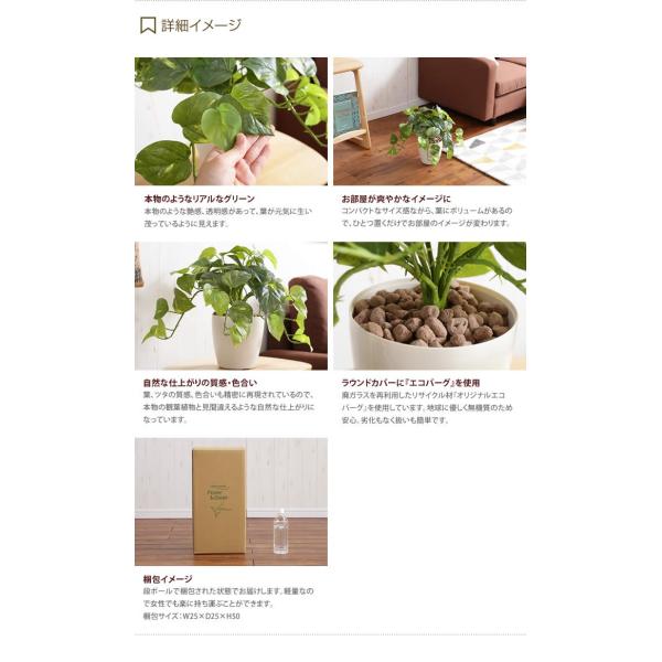 Fresh Pothos フレッシュポトスm 人工植物 観葉植物 お手入れ不要 光触媒 グリーン 水やり不要 リアル Buyee Buyee Japanese Proxy Service Buy From Japan Bot Online