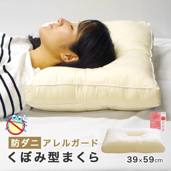 枕 39x59cm アレルガード ウォッシャブル 防ダニ くぼみ型 クリスター清潔
