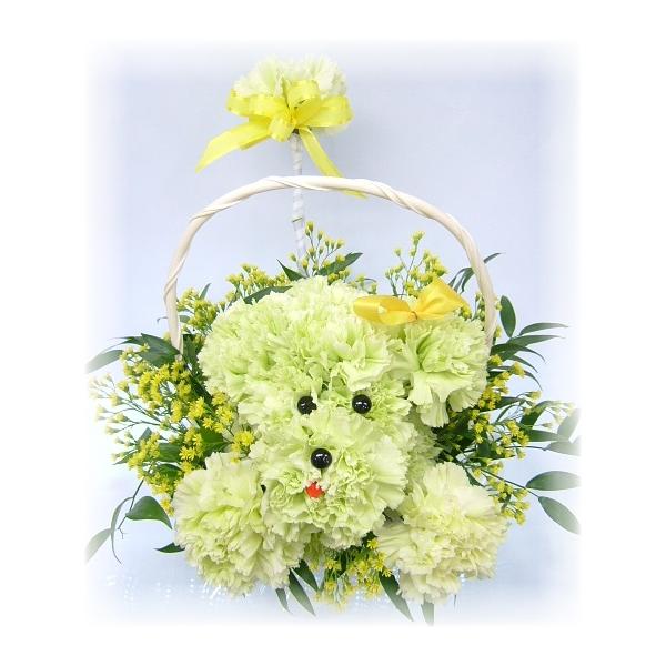 生花 カーネーション トイプーの人気商品 通販 価格比較 価格 Com