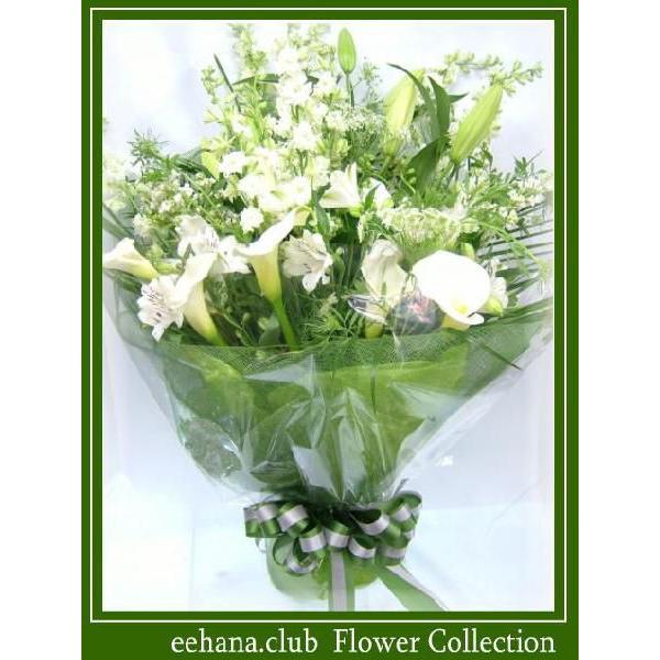 E݂ɑԑ@GNg10,000~  zB  Ή@