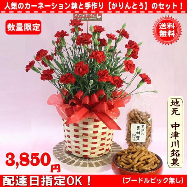 母の日 花 ギフト 21母の日地元名物お菓子と赤カーネーション花鉢5号セット3 850円 送料無料 Buyee Buyee Japanischer Proxy Service Kaufen Sie Aus Japan