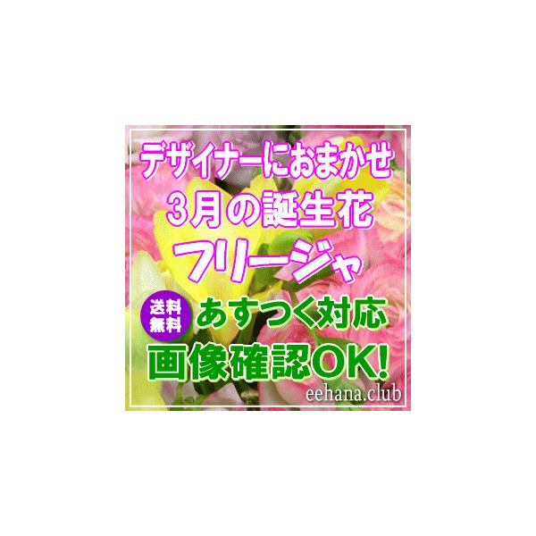 ■土・日・祝も対応ＯＫ 年中無休 15時までのご注文であすつく対応送料無料 即日配達 フリージア 誕生日 ギフト アレンジメント 花束 プレゼント 3月の誕生花誕生日 花 ギフト プレゼント女性 送料無料 女性  開店 オープン 結婚記念日...