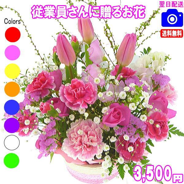 いつもがんばってくれている従業員さん♪人の繋がりは会社の財産です♪そんな大切な従業員さんの記念日にお花を贈ってお互いに気持ちよい日々を過ごしませんか♪ちょっとした気配りが社内活性に繋がります♪売り手市場の昨今、良い人材確保のためにも心配りは...