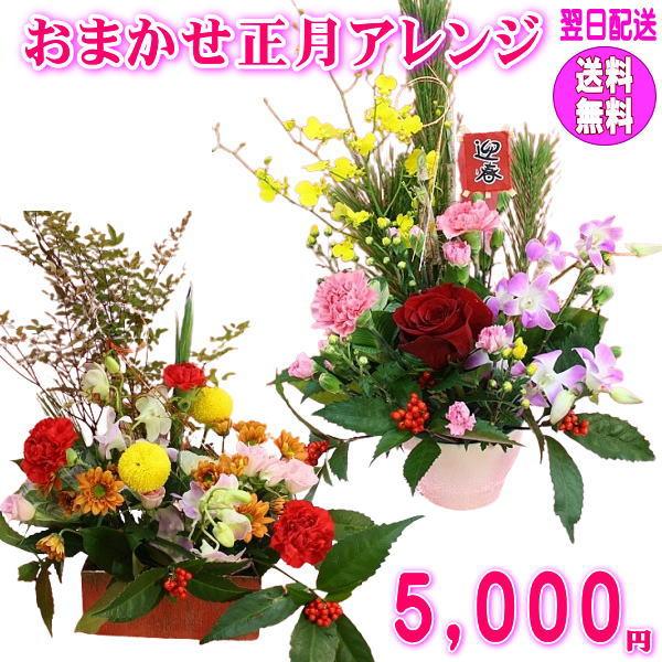 2025年のスタートに季節の新鮮なお花を飾って気持ち良く迎えませんか♪ 「あすつく_東北」「あすつく_関東」「あすつく_信越」「あすつく_北陸」「あすつく_東海」「あすつく_近畿」「あすつく_中国」「あすつく_四国」