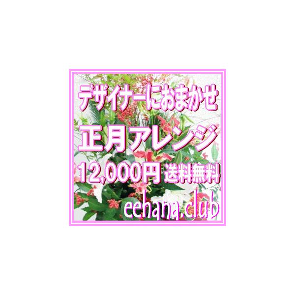 AW ƂĂfUCi[ɂ܂12,000~  zB