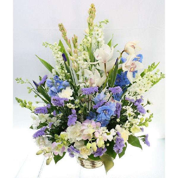 �������E������݂ɑ���ԁ@���~�A�����W�퐶10,000�~ �������� �����z�B  �����z���Ή��@�r���͂������͂����� ���� ���i�摜1