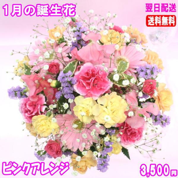 花 ギフト バースデー1月の誕生花カラフルアレンジ3 500円 送料無料 あすつく対応 Buyee Buyee Japanese Proxy Service Buy From Japan Bot Online