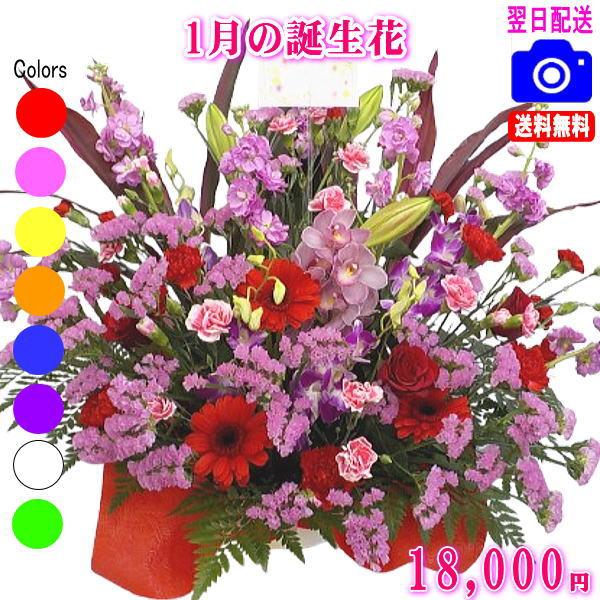 花 ギフト 誕生日 1月の誕生花デザイナーにおまかせ18,000円 送料無料