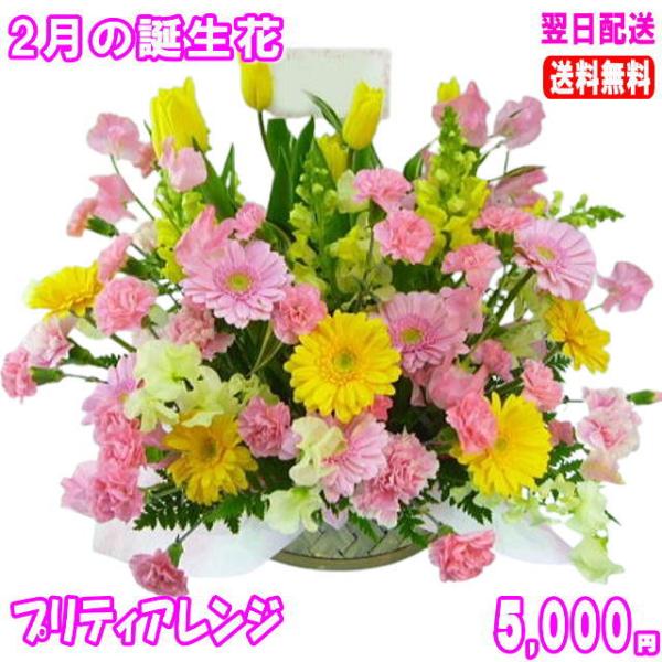■土・日・祝も対応ＯＫ 年中無休 15時までのご注文であすつく対応送料無料 即日配達 チューリップ 誕生日 ギフト アレンジメント 花束 プレゼント 2月の誕生花 春誕生日 花 ギフト プレゼント女性 送料無料 女性  開店 オープン 結婚...