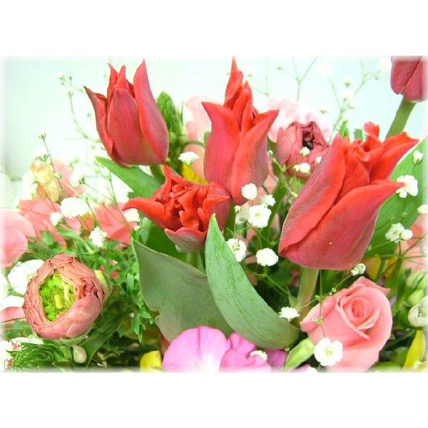 花 ギフト バースデー2月の誕生花チューリップスプリングアレンジ5 000円 送料無料 花言葉付き チューリップ あすつく対応 Buyee Buyee Japanese Proxy Service Buy From Japan Bot Online