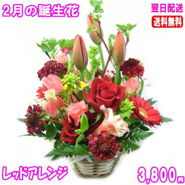 花 ギフト バースデー2月の誕生花チューリップレッドアレンジ3 800円 送料無料 花言葉付き チューリップ あす楽対応 Buyee Buyee Japanese Proxy Service Buy From Japan Bot Online