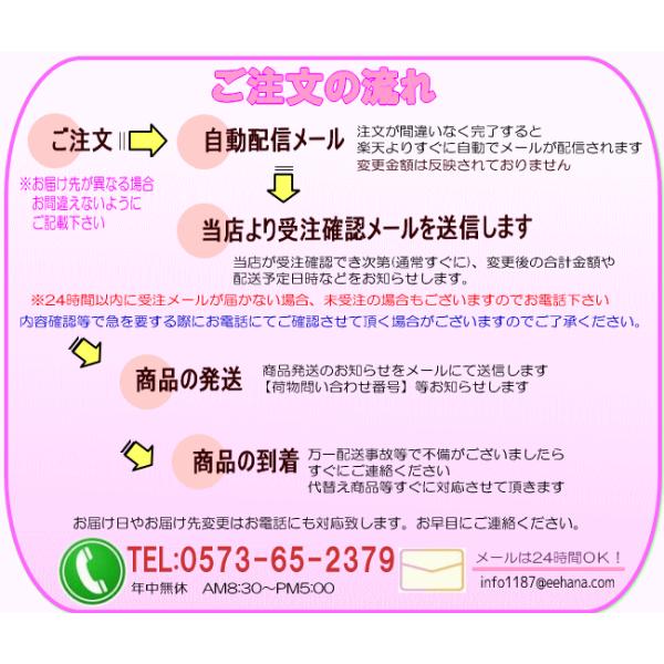 花 ギフト バースデー3月の誕生花 スマイルアレンジ5 000円 送料無料 花言葉付き フリージア あすつく対応 Buyee Buyee Jasa Perwakilan Pembelian Barang Online Di Jepang
