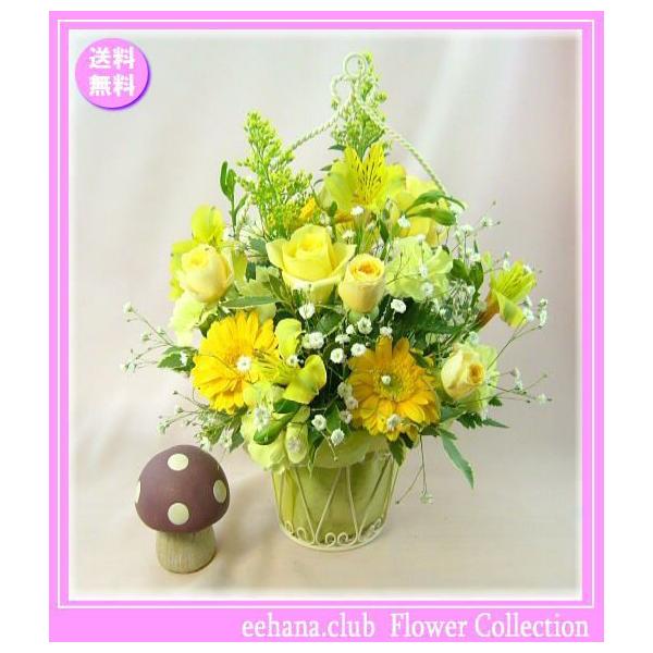 ■土・日・祝も対応ＯＫ 年中無休 15時までのご注文であすつく対応送料無料 即日配達 かすみ草 誕生日 ギフト アレンジメント 花束 プレゼント 4月の誕生花誕生日 花 ギフト プレゼント女性 送料無料 女性  開店 オープン 結婚記念日 ...