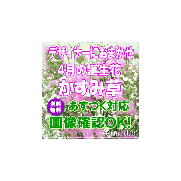 ■土・日・祝も対応ＯＫ 年中無休 15時までのご注文であすつく対応送料無料 即日配達 かすみ草 誕生日 ギフト アレンジメント 花束 プレゼント 4月の誕生花誕生日 花 ギフト プレゼント女性 送料無料 女性  開店 オープン 結婚記念日 ...
