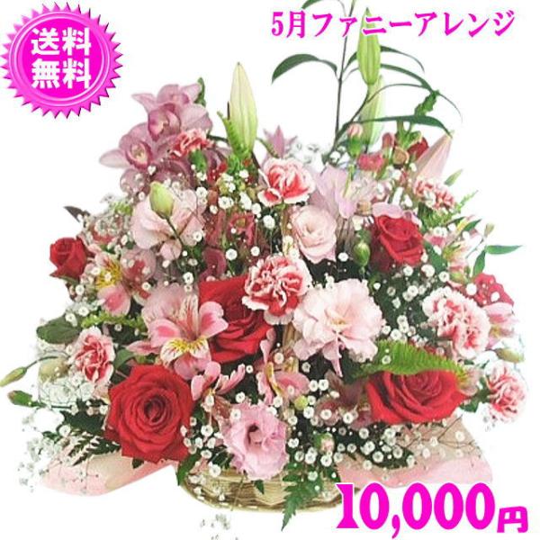 花 ギフト バースデー5月の誕生花 ファニーアレンジ10 000円 送料無料 あすつく対応 花言葉カード付 Ta 0503 いいhana倶楽部 通販 Yahoo ショッピング