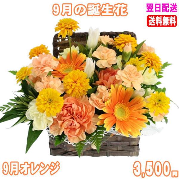 花 ギフト バースデー9月の誕生花 オレンジアレンジ3 500円 送料無料 花言葉付き りんどう 写真付きメッセージ選択可 Ta 0913 いいhana倶楽部 通販 Yahoo ショッピング