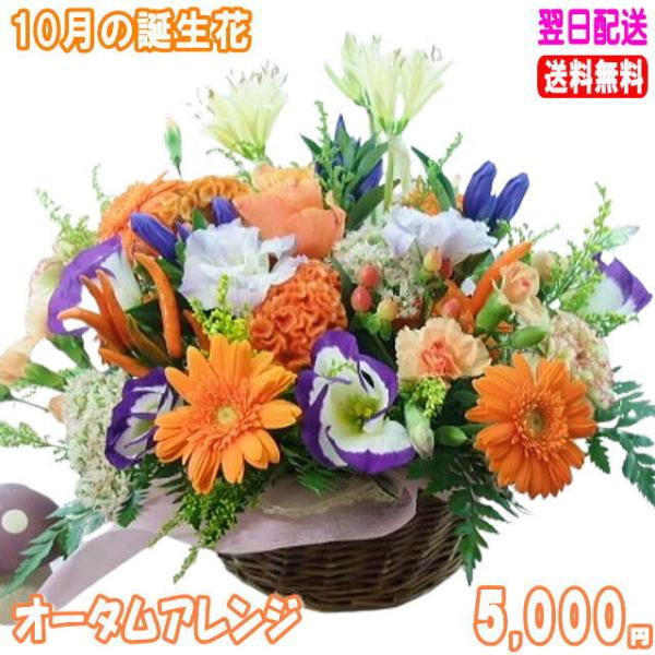 花 ギフト 誕生日 10月の誕生花 オータムアレンジ5,000円 送料無料 翌日配達  花言葉付き ガーベラ   爆買