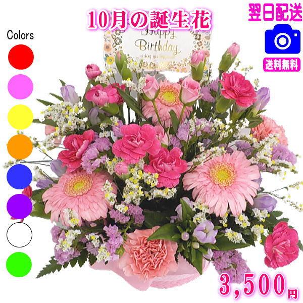 誕生日 花 ギフト プレゼント女性 送料無料 季節の花でおまかせアレンジメント 女性  開店 オープン 結婚記念日 お祝い フラワー お見舞い 退職 送別 花 プレゼント 即日発送 誕生日プレゼント 生花 お花 女性 母 妻 ガーベラ お祝...